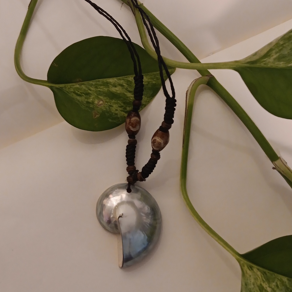 Seashell Necklace